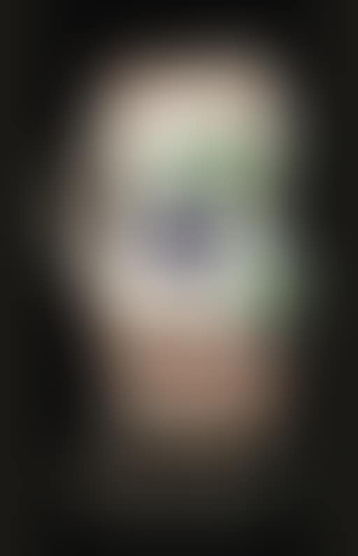 Visage aux points (preview)