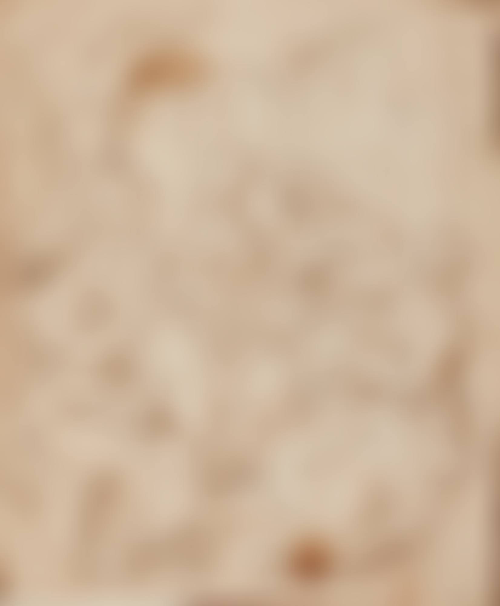 MOTHER AND SON WITH A DOG IN A WOODED LANDSCAPE (preview)