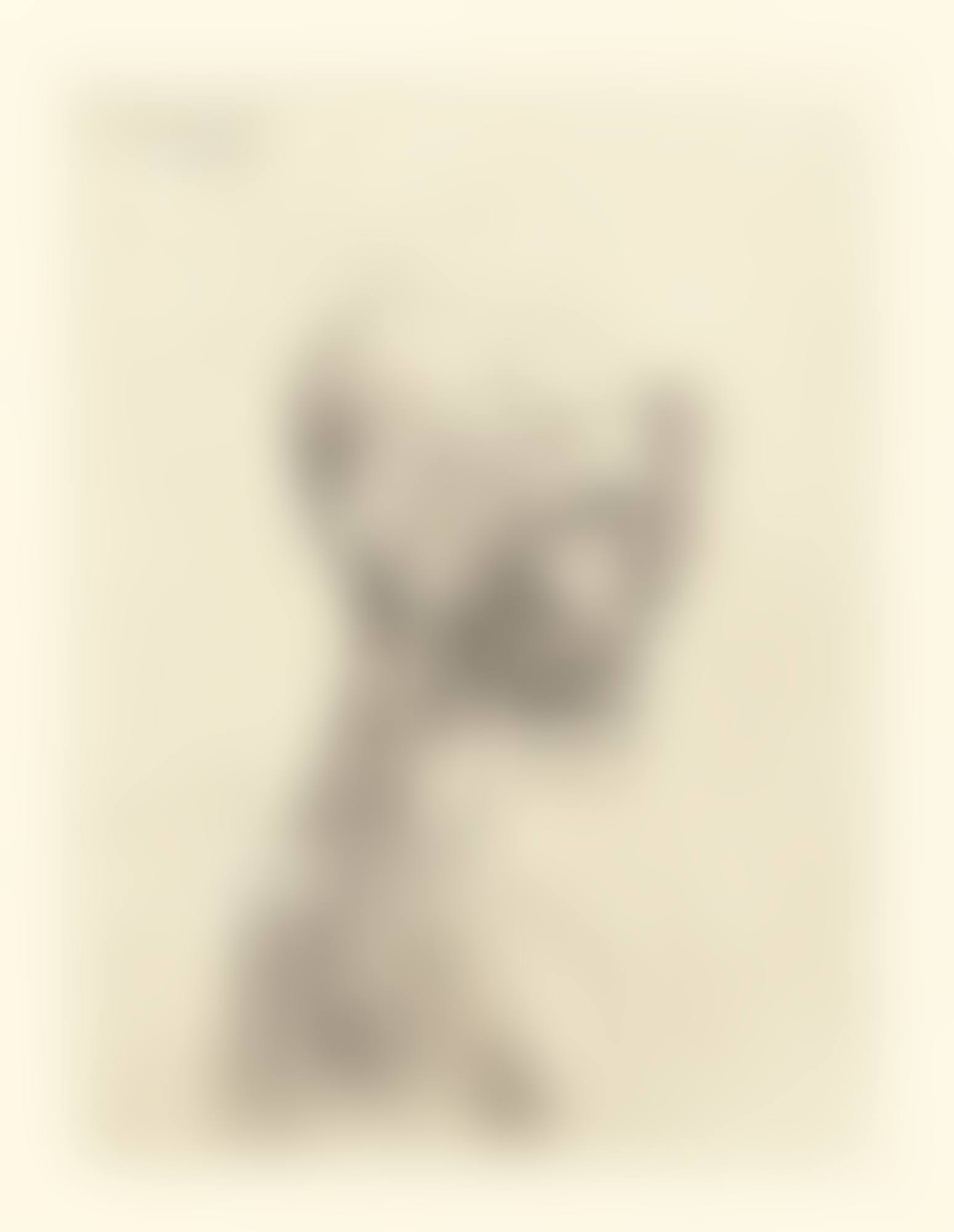 BUSTE D'HOMME (B. 4; BA. 5) (preview)