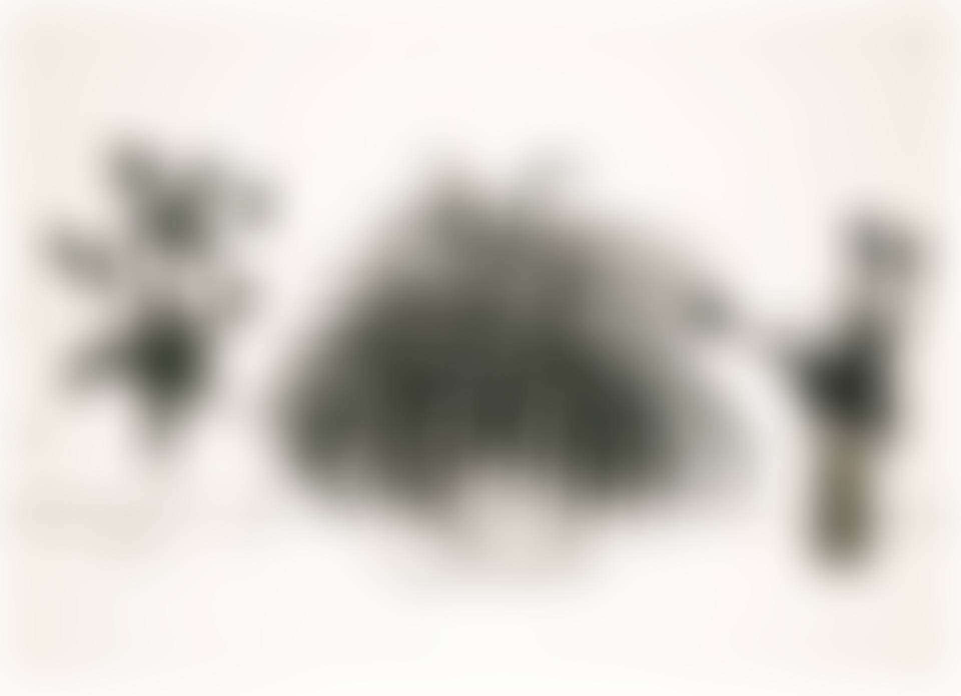 TWO VASES OF CUT FLOWERS AND A LIRIOPE PLANT (MUSEUM CONTEMPORARY ART TOKYO 232) (preview)