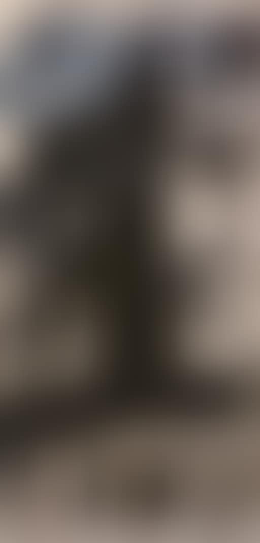 Totem (preview)