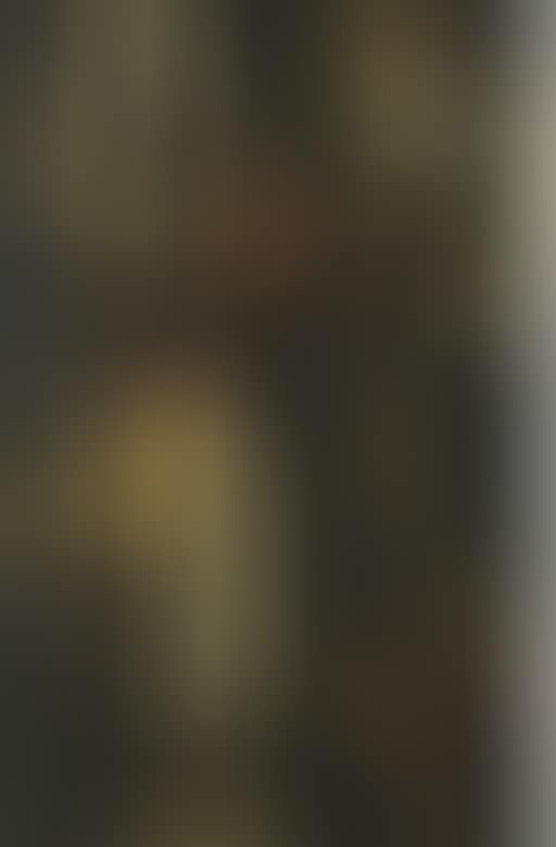 Peinture (preview)