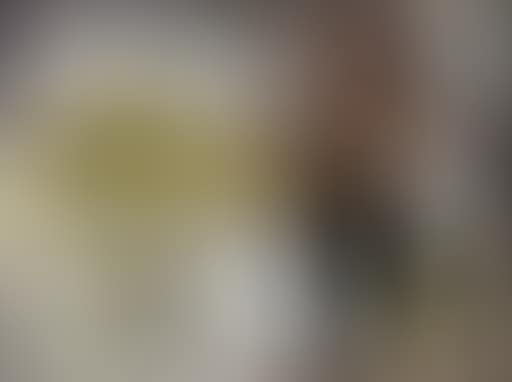 Chpae DR NO (preview)