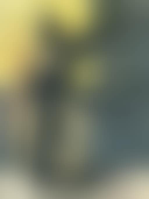 Composition avec figure (preview)