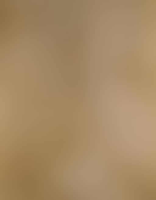 Impresiones en ocre - Ochre patterns (preview)