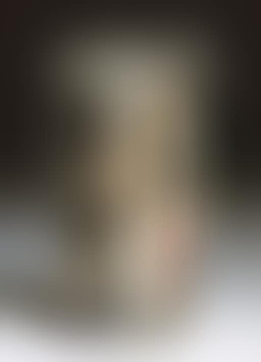 Poubelle (preview)