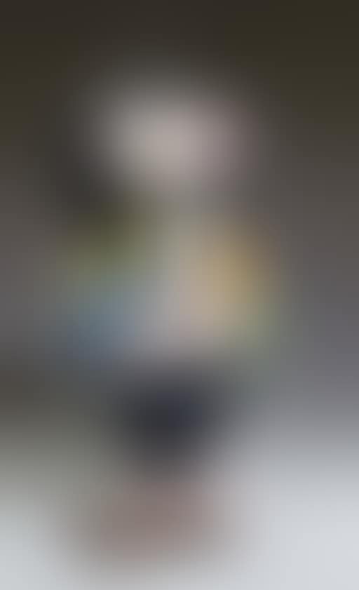 Nana moyenne Waldaff (preview)