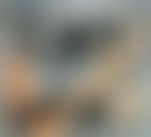 Nude bathers (preview)