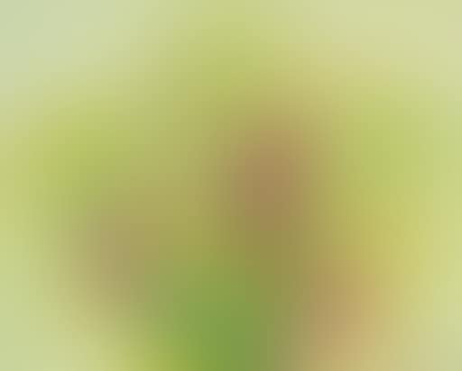 Bouquet jaune aux pois de senteur (preview)