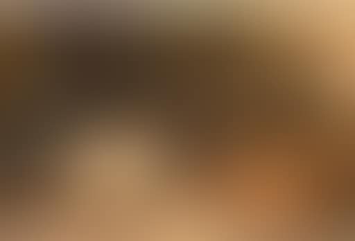 In the dog pen (preview)