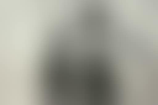 Brussels (preview)