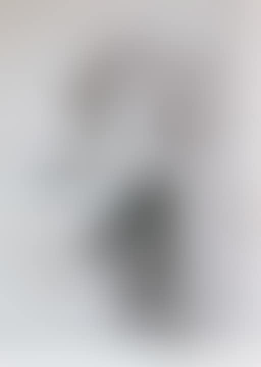Studu of a lady reading (preview)