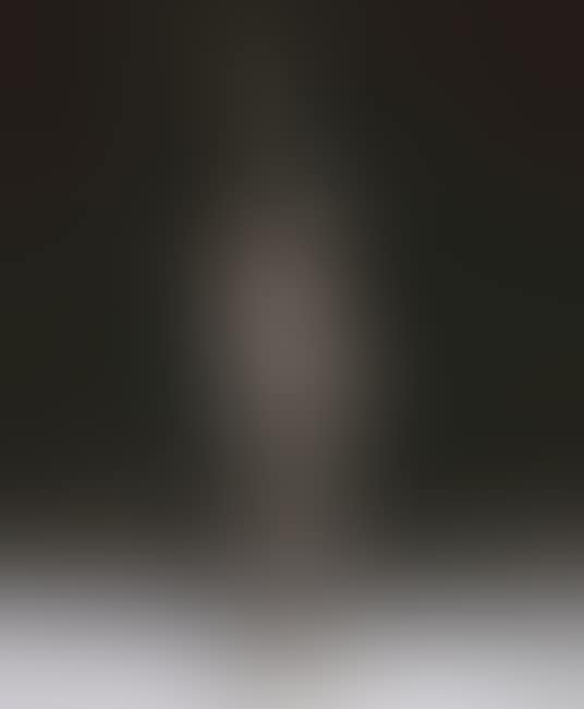 Figure of a birdcatcher (preview)