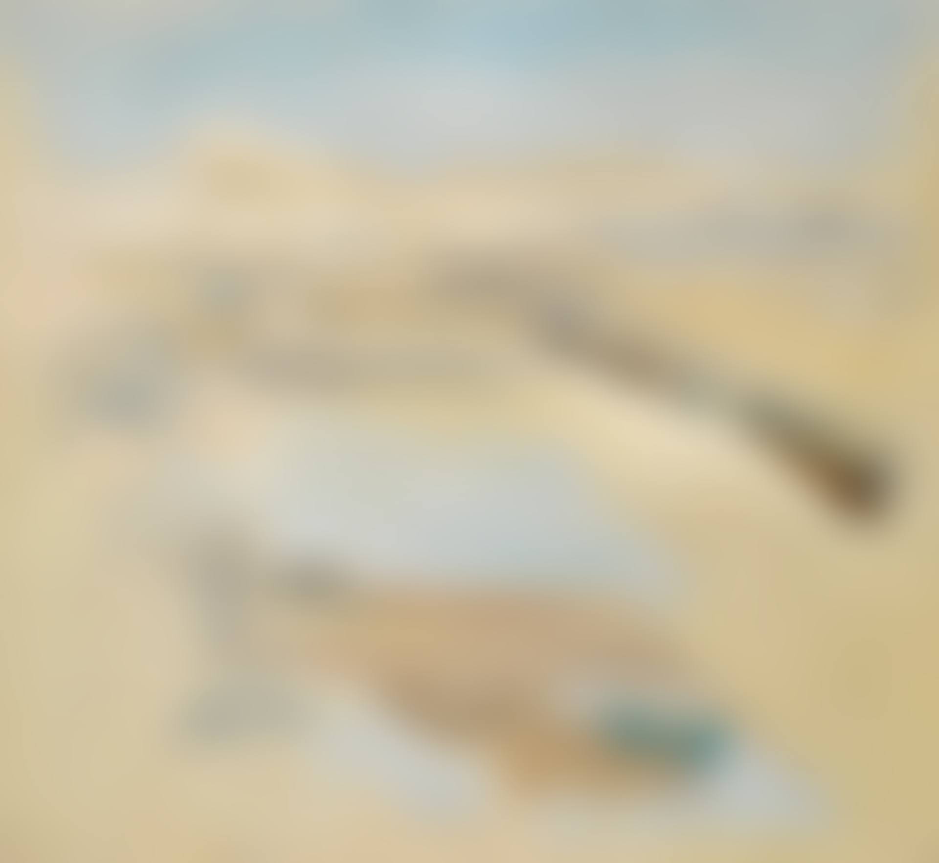 BANKS HEAD (preview)
