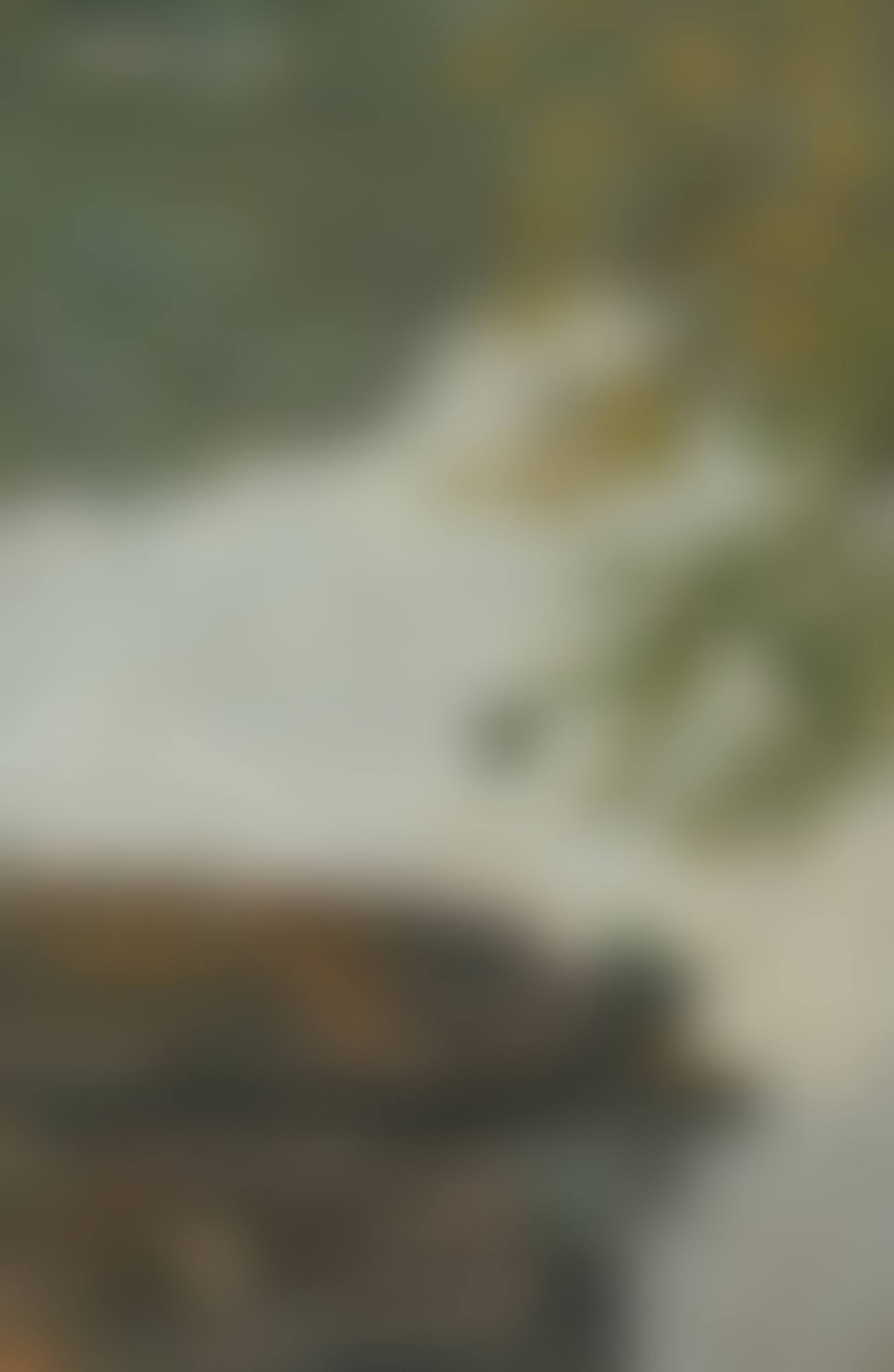 LES BATEAUX (preview)