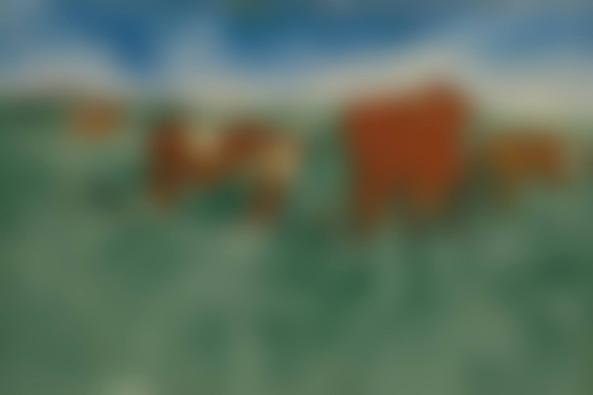 KÜHE AUF DER WEIDE (COWS AT PASTURE) (preview)