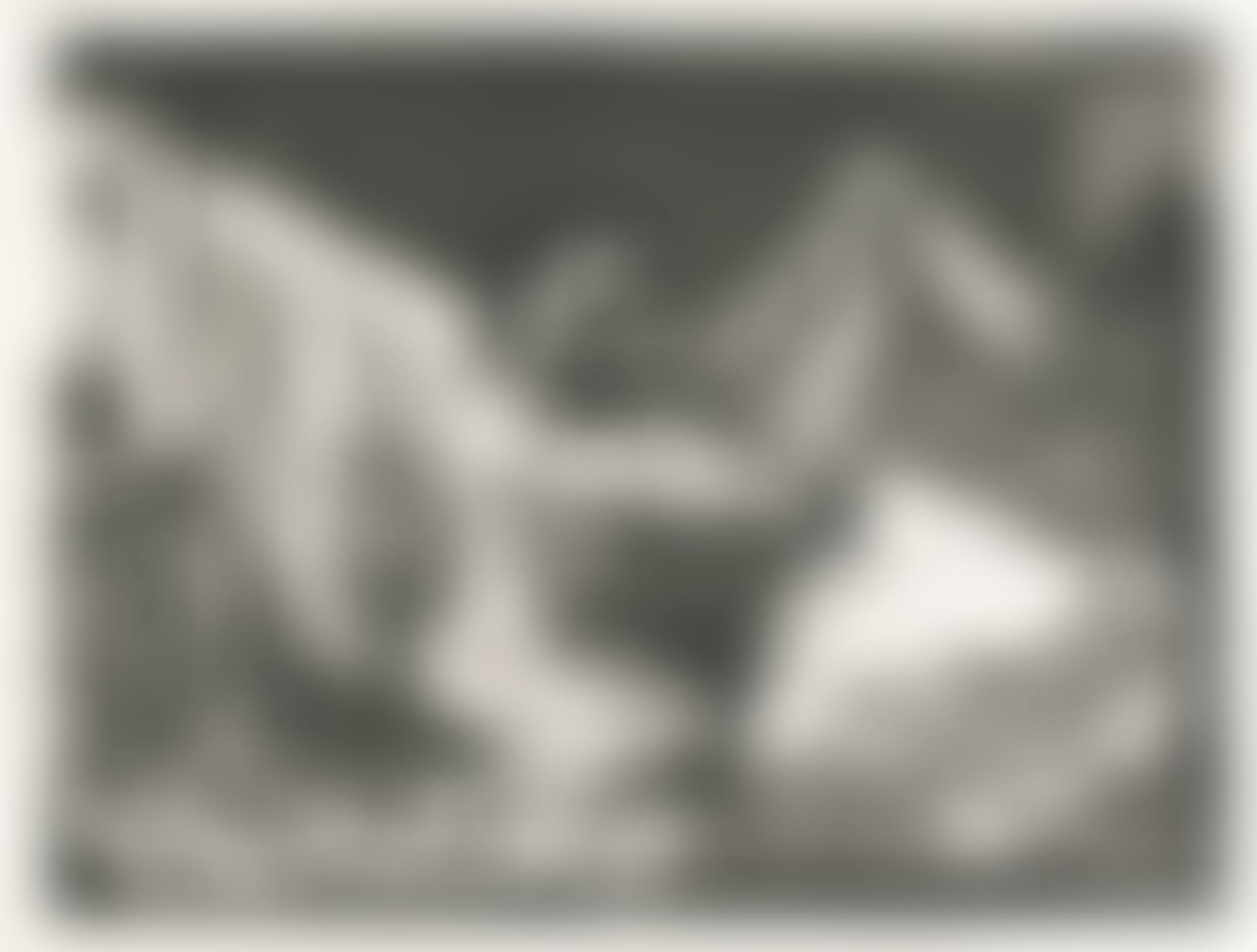 FAUNE D�VOILANT UNE FEMME (B. 230; BA. 609) (preview)