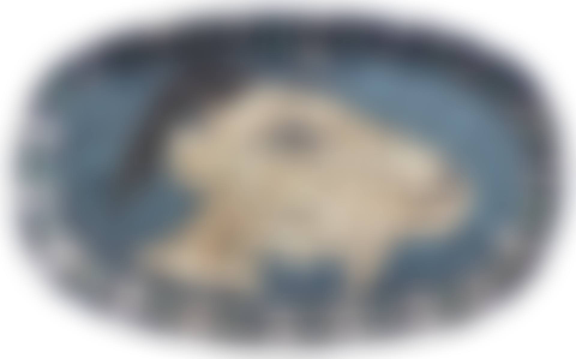 TÊTE DE CHÈVRE DE PROFIL (A.R. 145) (preview)