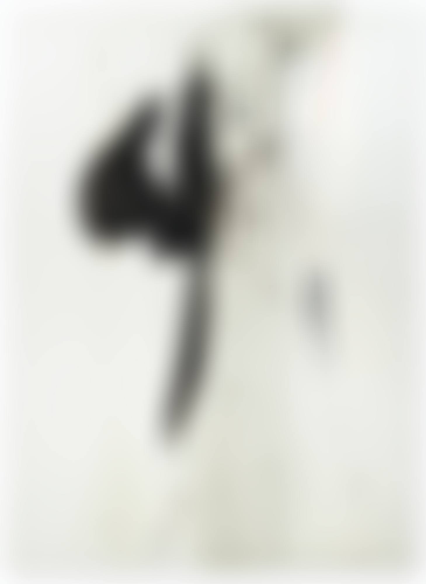 HAIGA II
SIGNED AND DATED 4-61; SIGNED, TITLED AND DATED 4-61 ON THE REVERSE; OIL ON CANVAS. EXECUTED IN 1961. (preview)