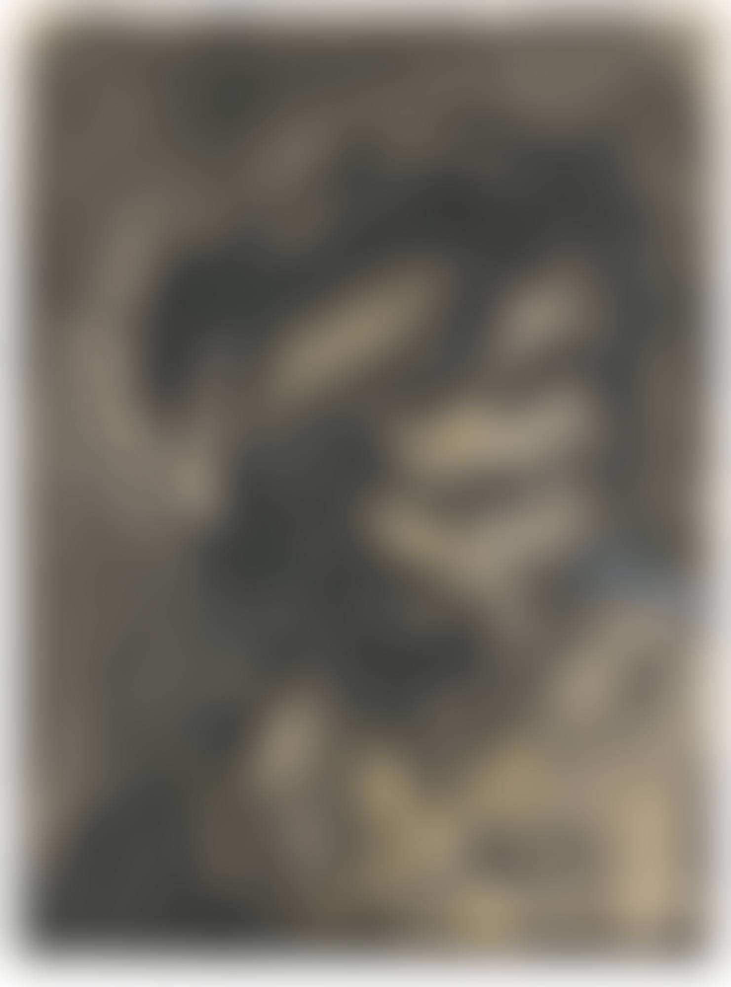 HEAD OF GERDA BOEHM (preview)