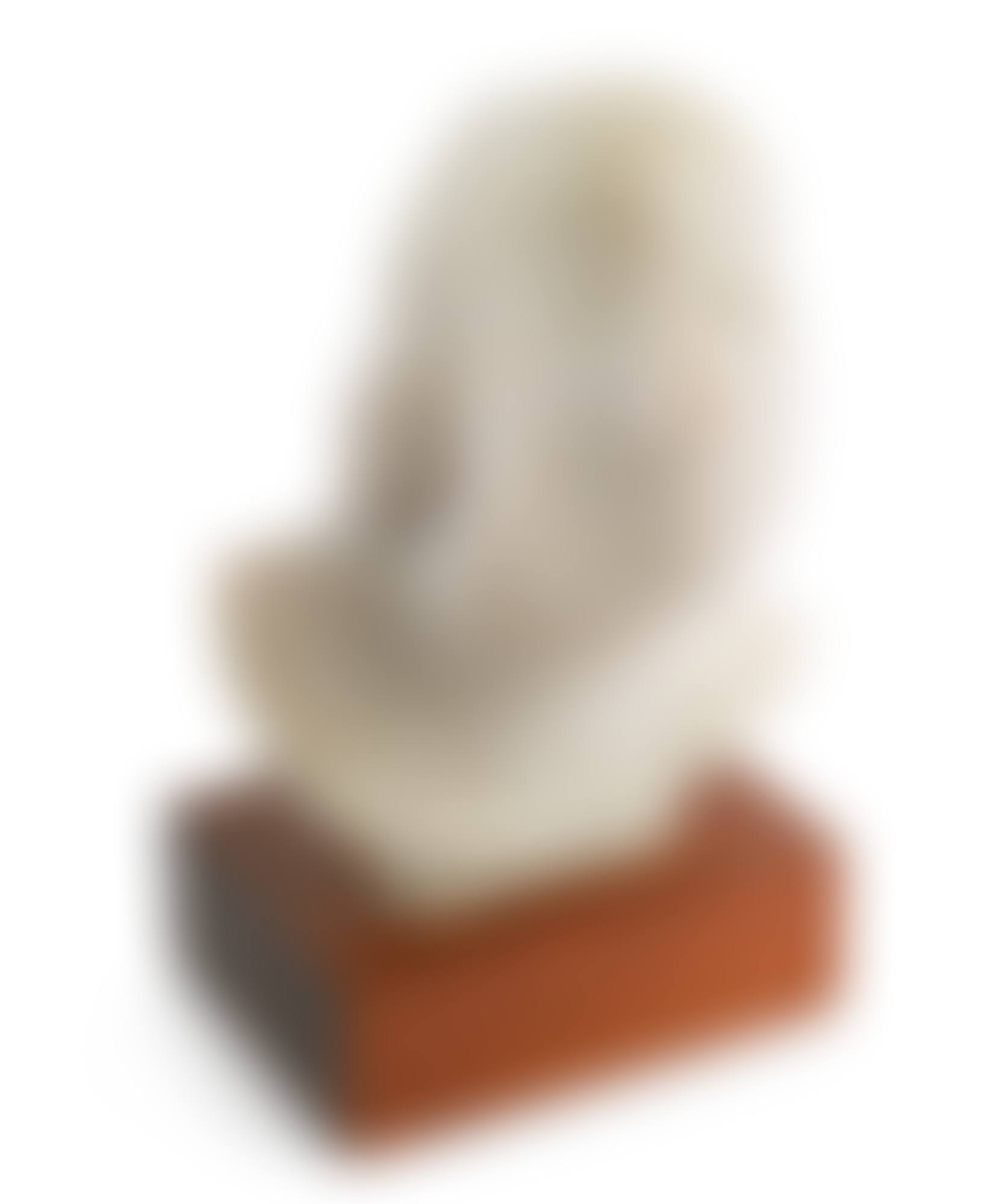 Head of a young woman (preview)