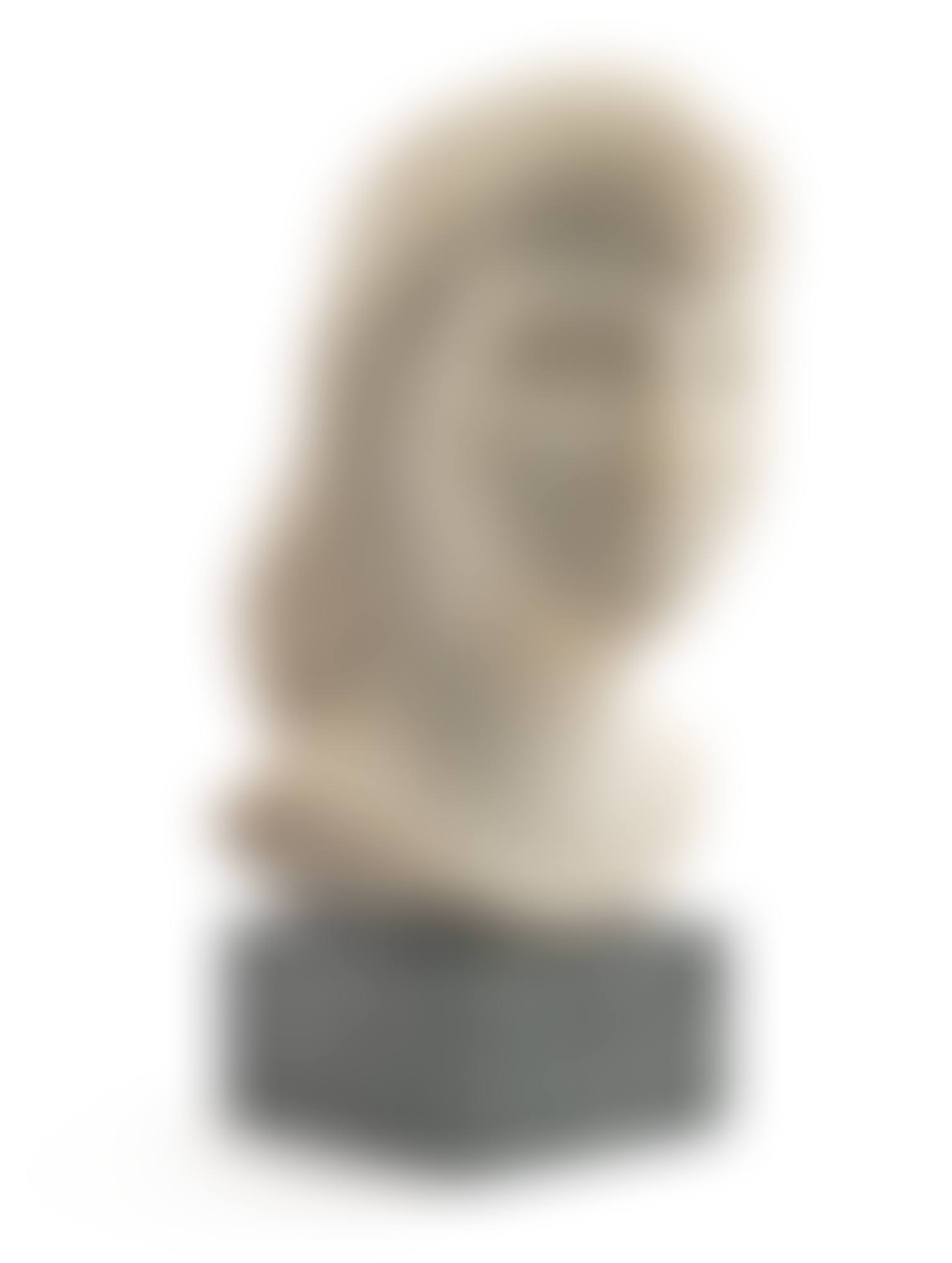 Head of a Woman (preview)