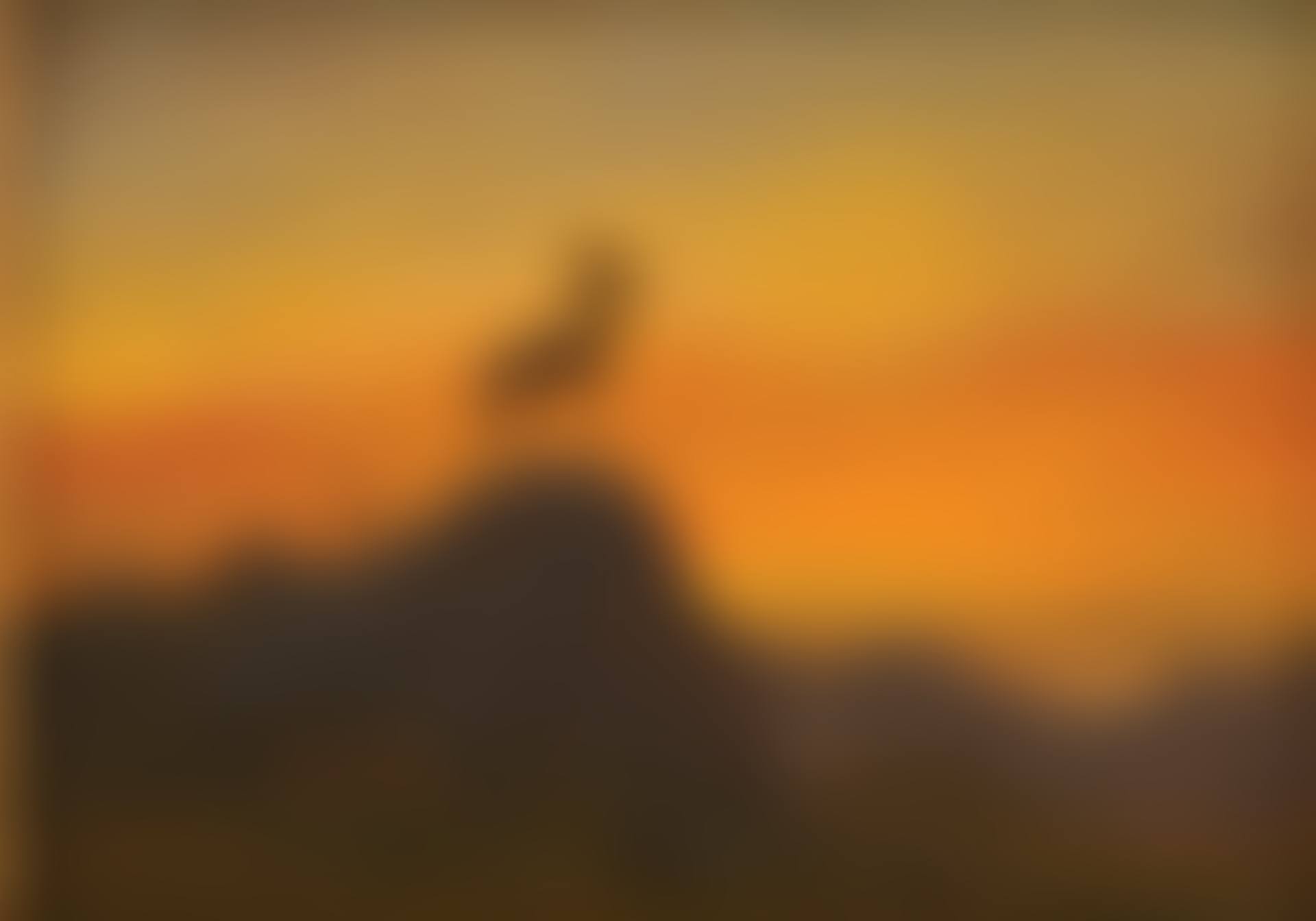 Rocky mountain Sheep (preview)