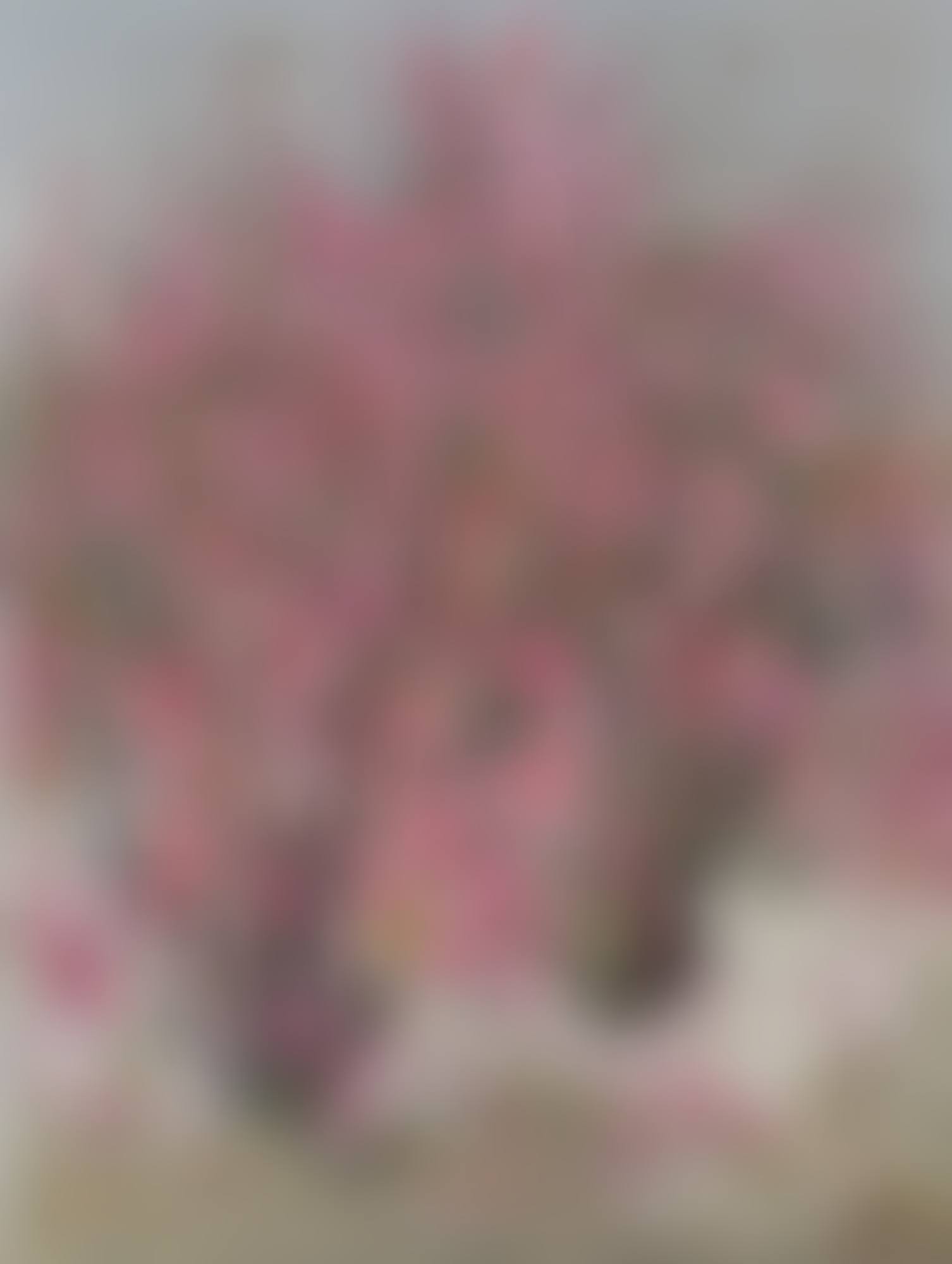 PEACH BLOSSOMS (preview)