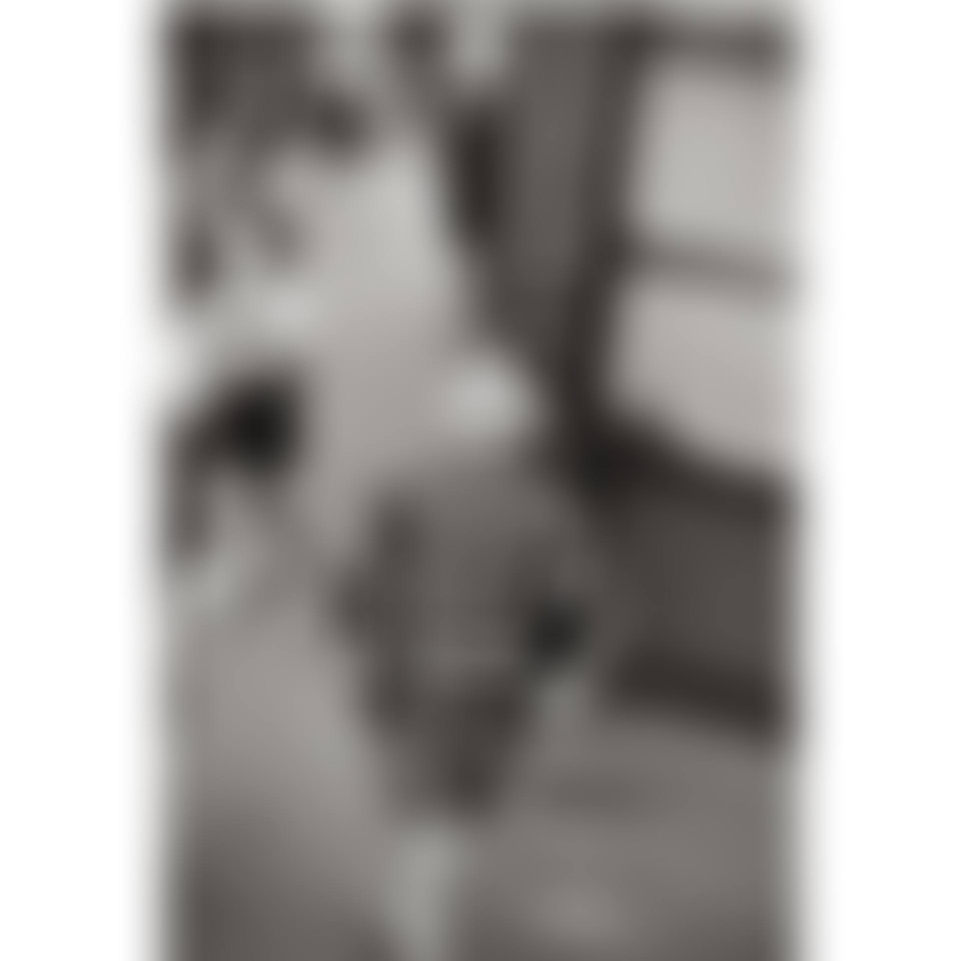 Rue Mouffetard (preview)
