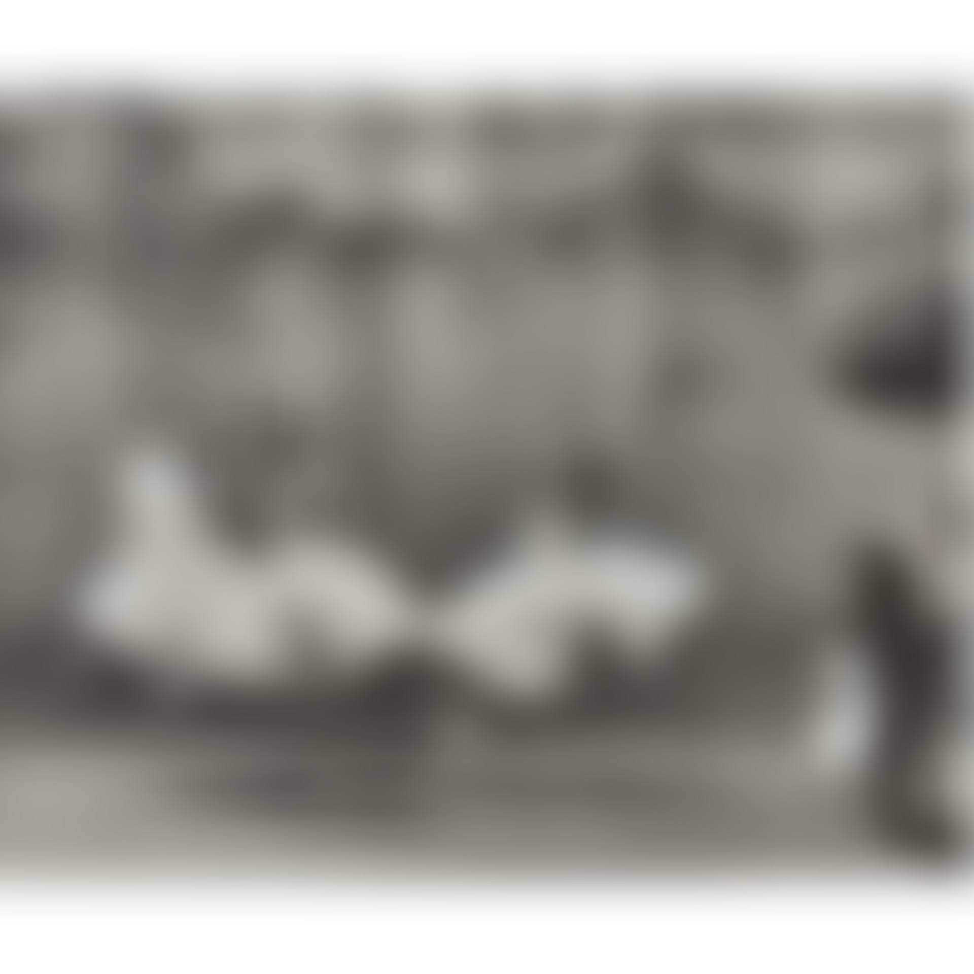 Ballet, N. Y. C. (preview)