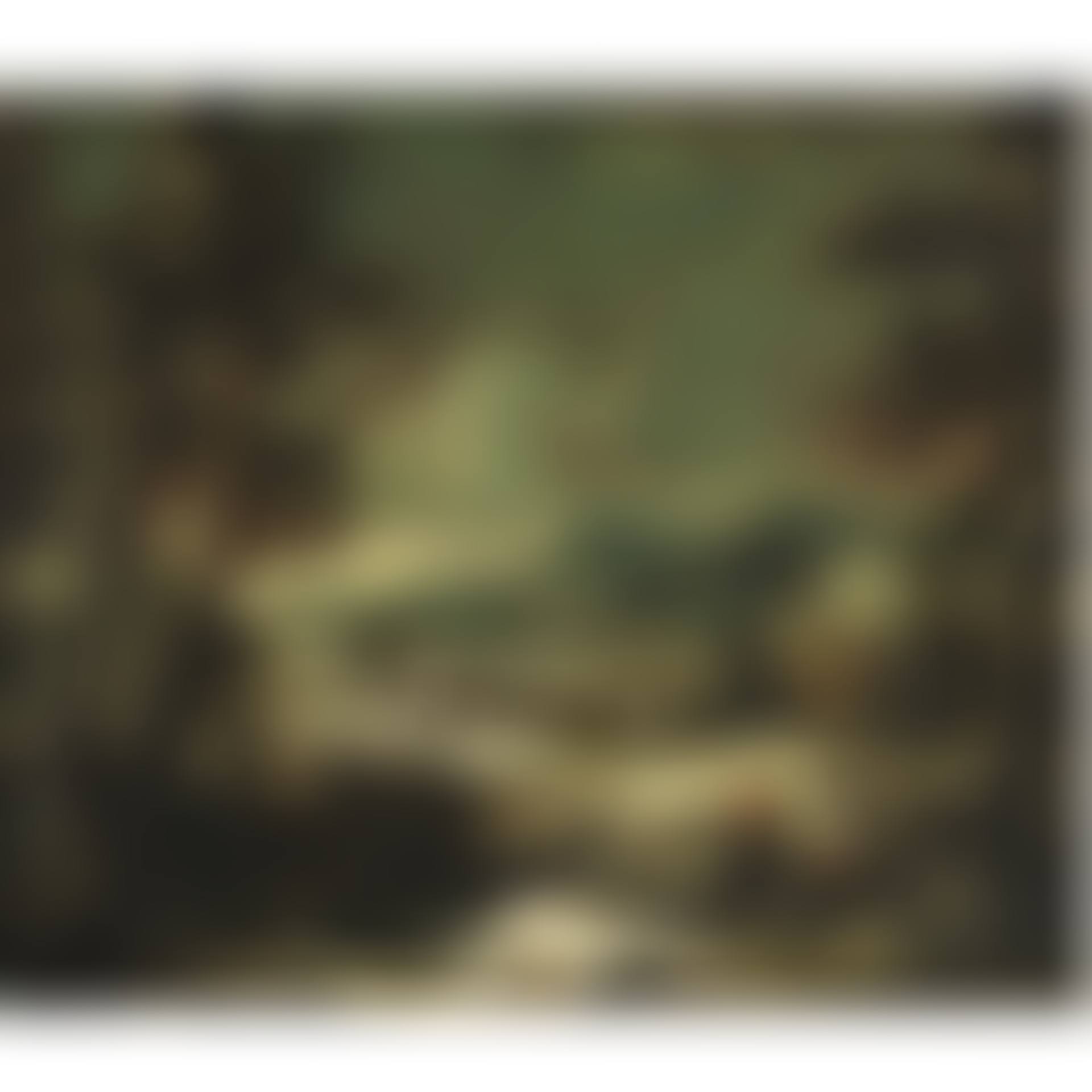 Paesaggio Con Viandanti Seduti Presso Un Fiume (preview)
