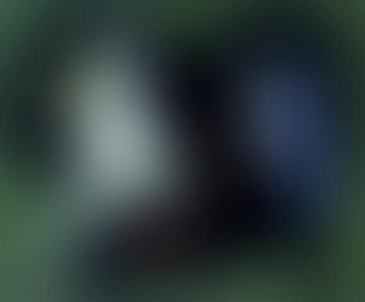 22-B (preview)