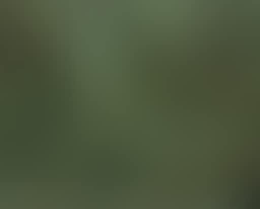 Tropical jungle (preview)