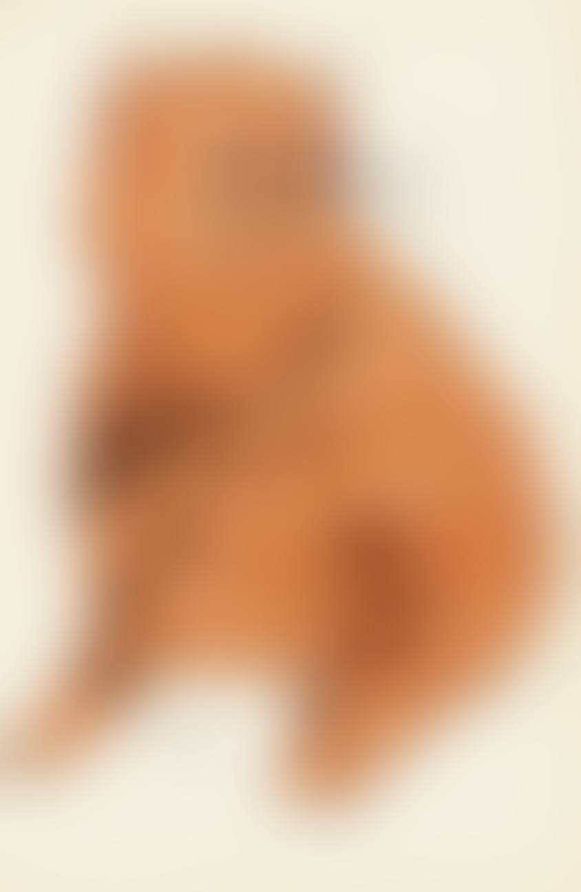 Sam (from 25 cats named Sam and one blue pussy) (preview)