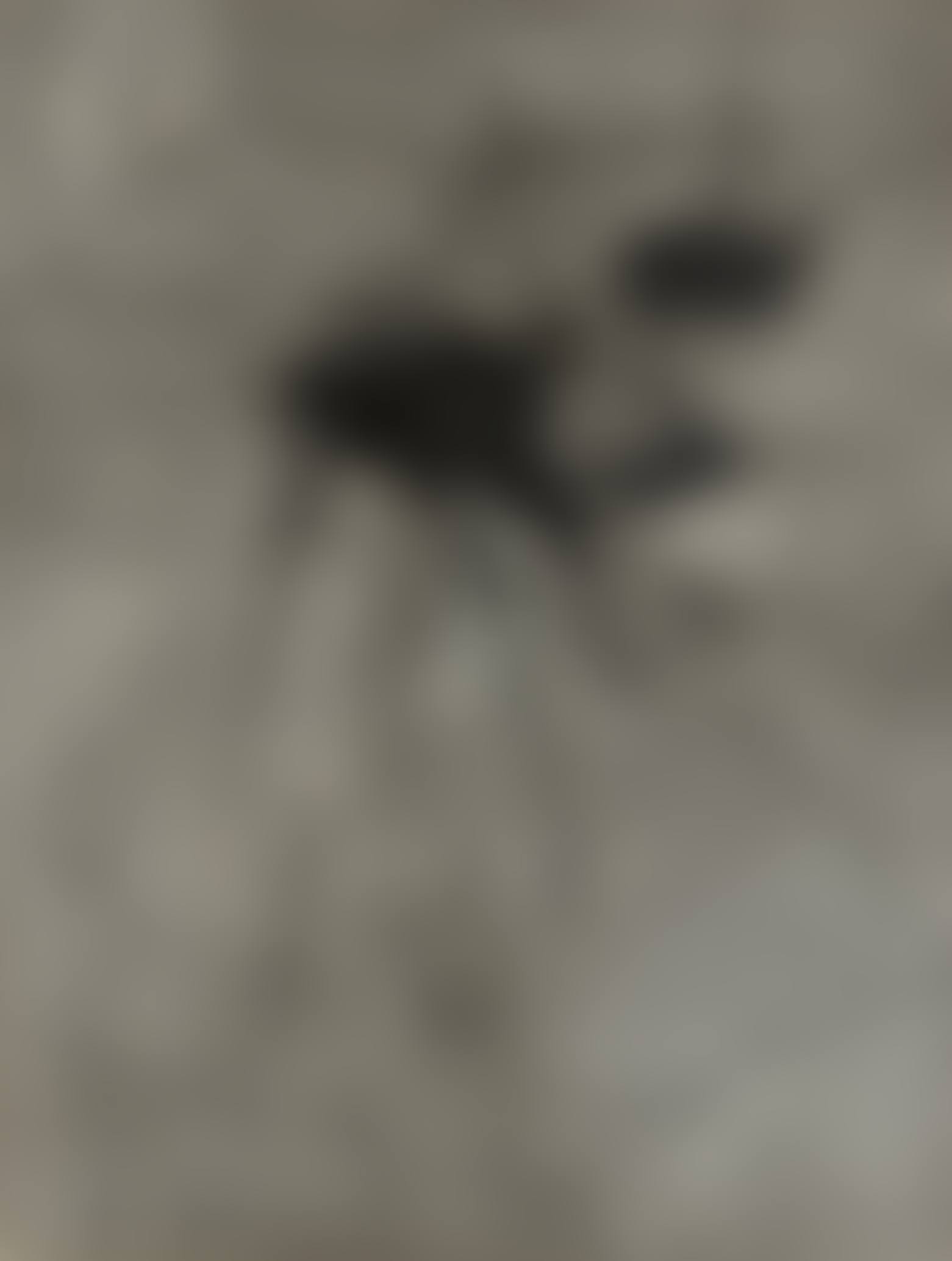 Surface d'Empaquetage (preview)