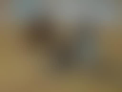Children in a field (preview)