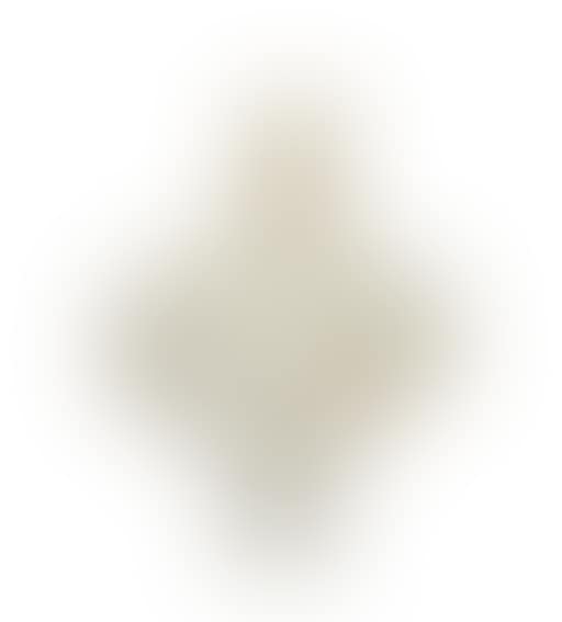 Bust of Roman Emperor Vitellius (preview)