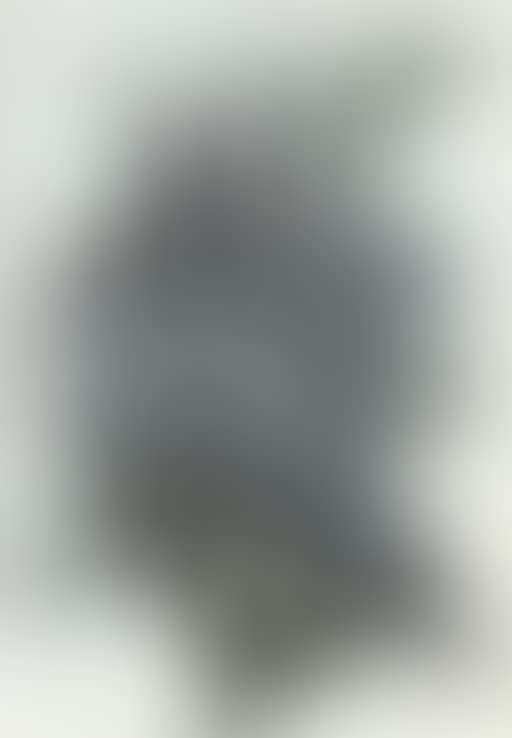 Insect (preview)
