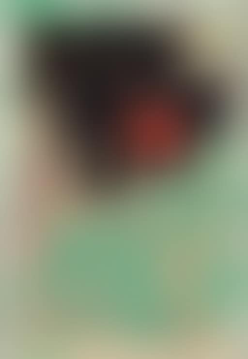 La stella originale (preview)