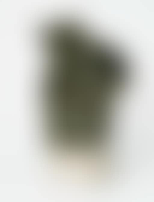 Asclepios (preview)