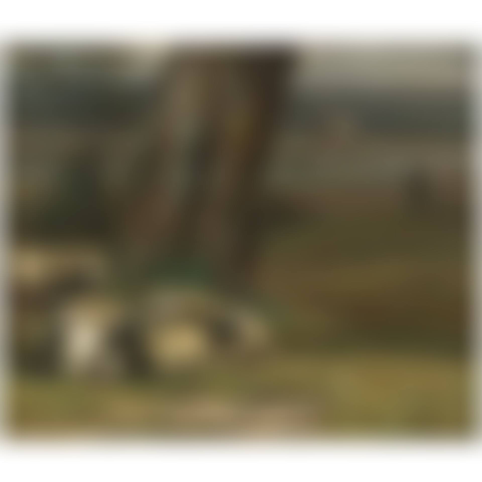 Sauer Ved Elven (Landscape By The Elbe River) (preview)