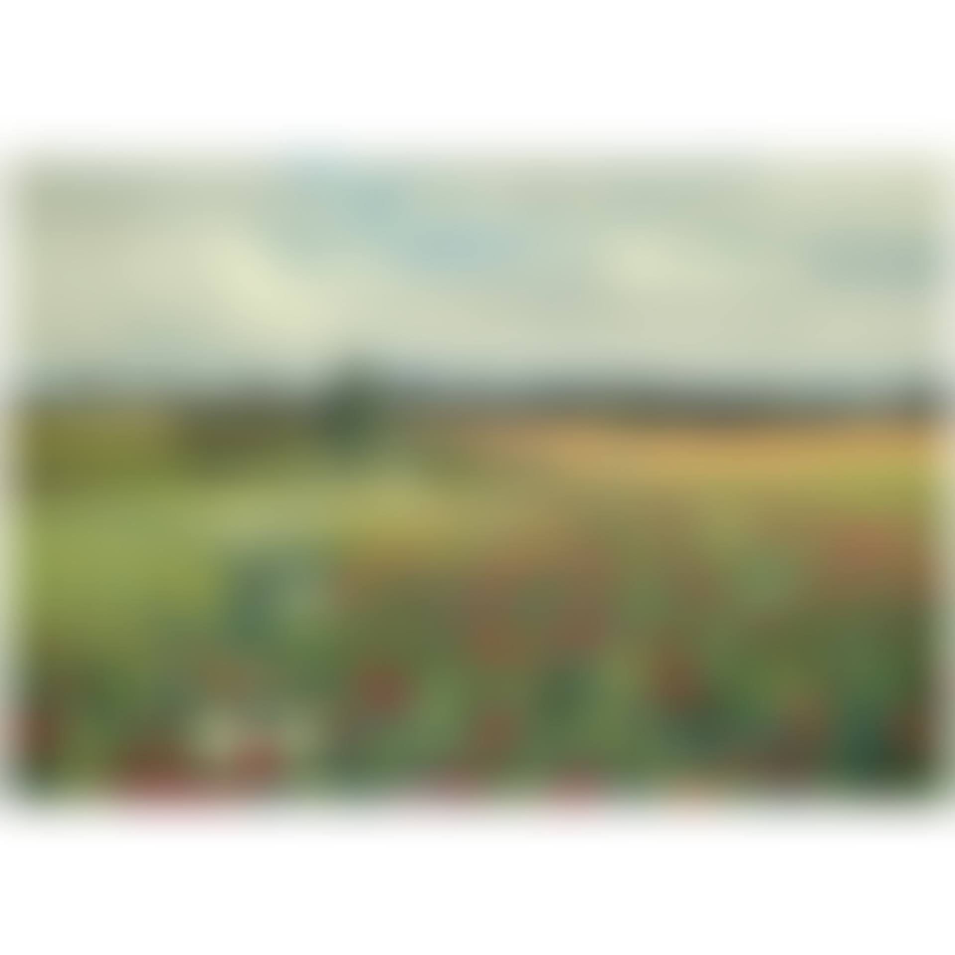 Mark Med Valmuer Og Margueritter (Field With Poppies And Daisies) (preview)