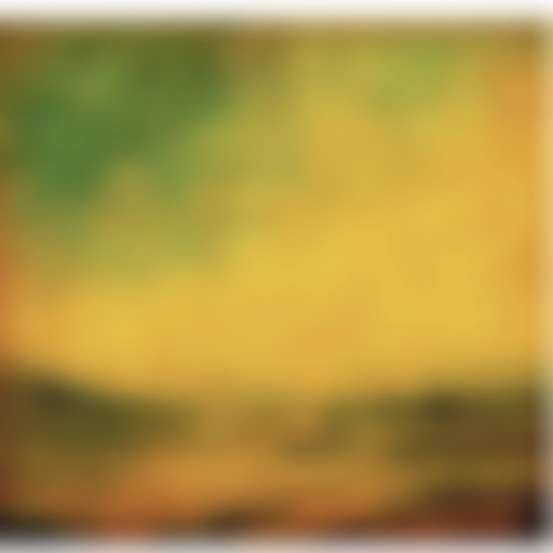 Untitled (#91) (preview)