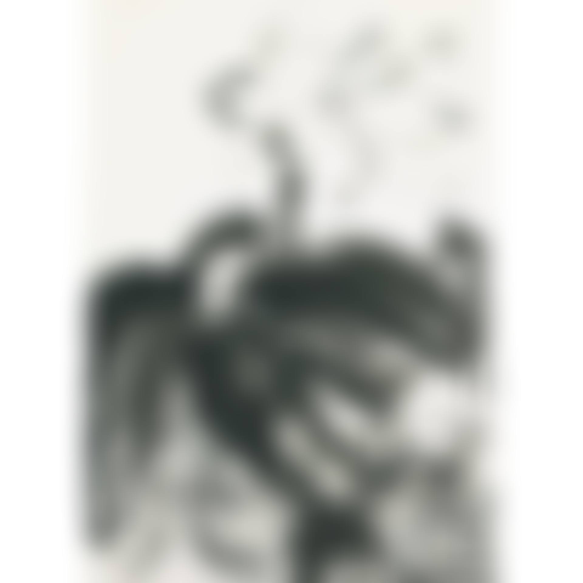 Lotus; Dozing Cat (preview)