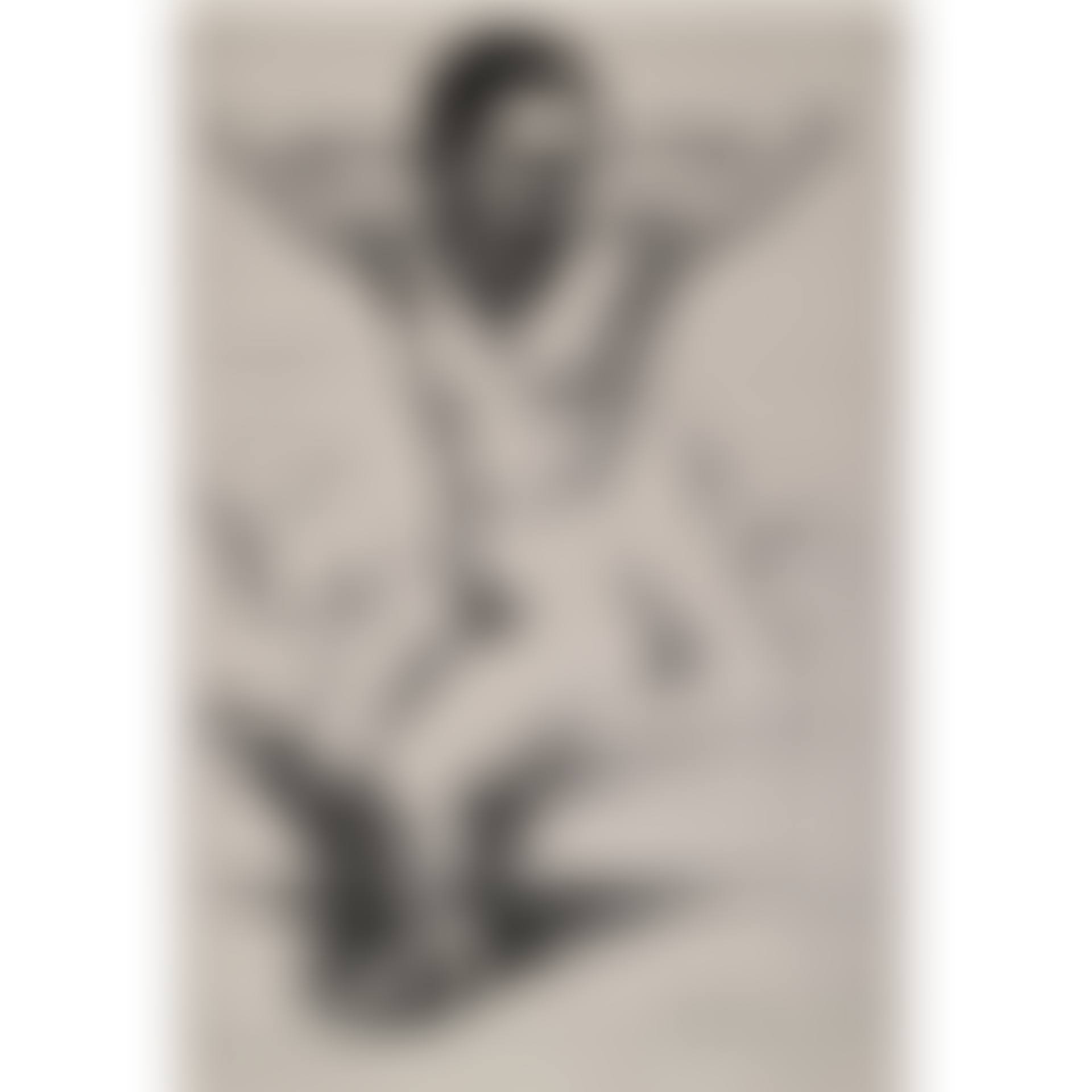 Desnudo Sentado Con Brazos Levantados; Flower Market (preview)