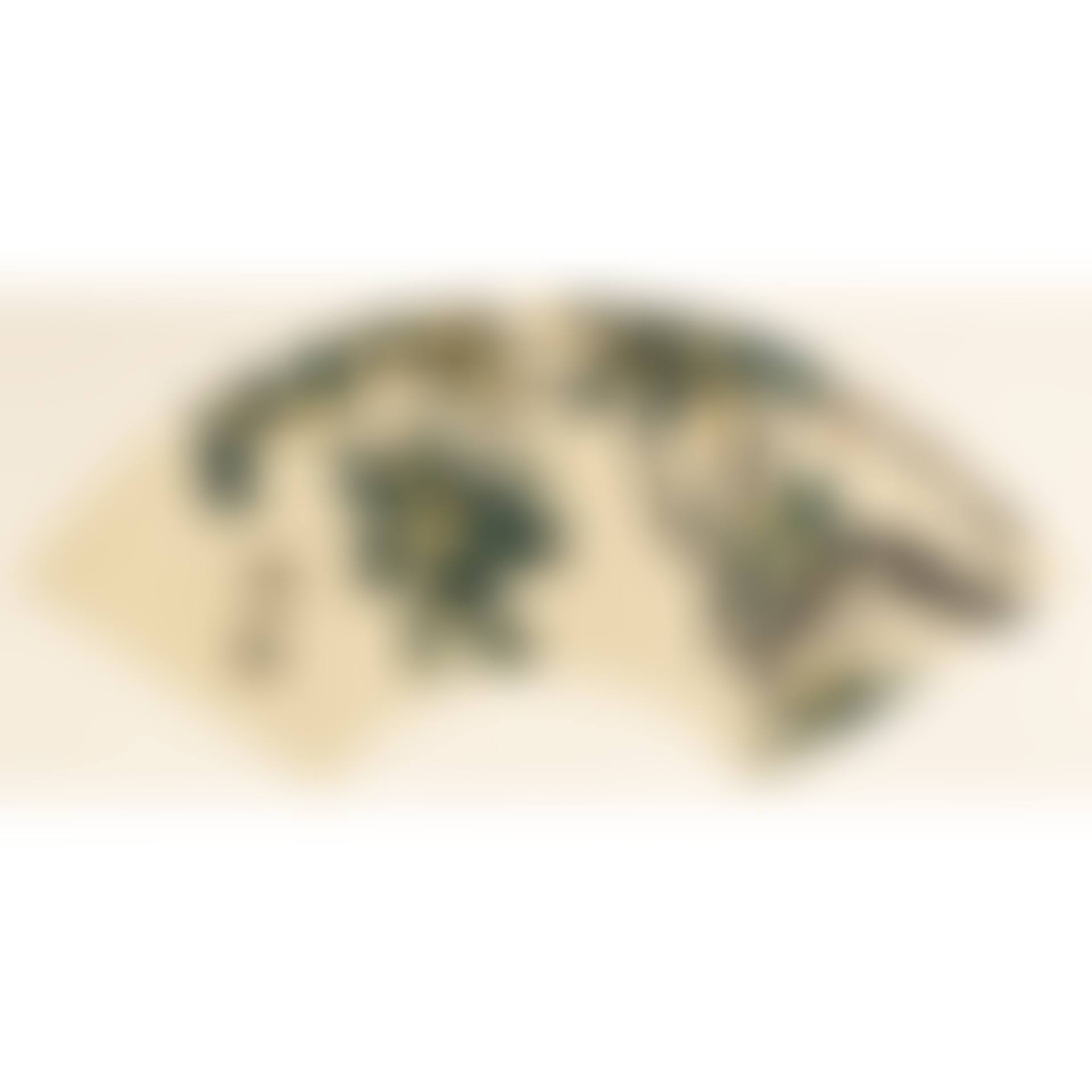 Osmanthus And Bees (preview)