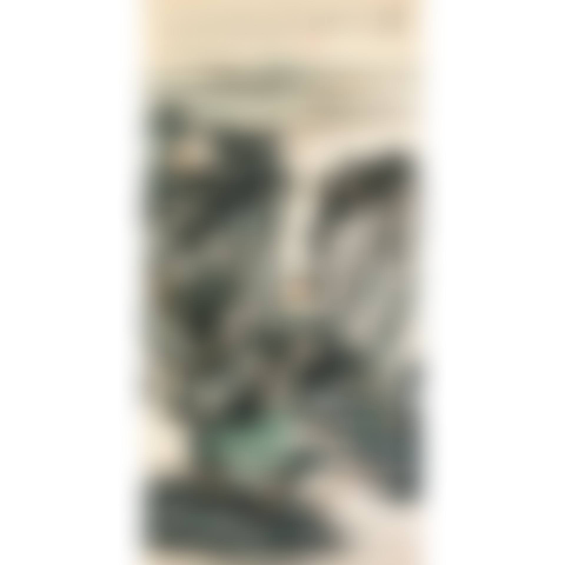 Panorama (preview)