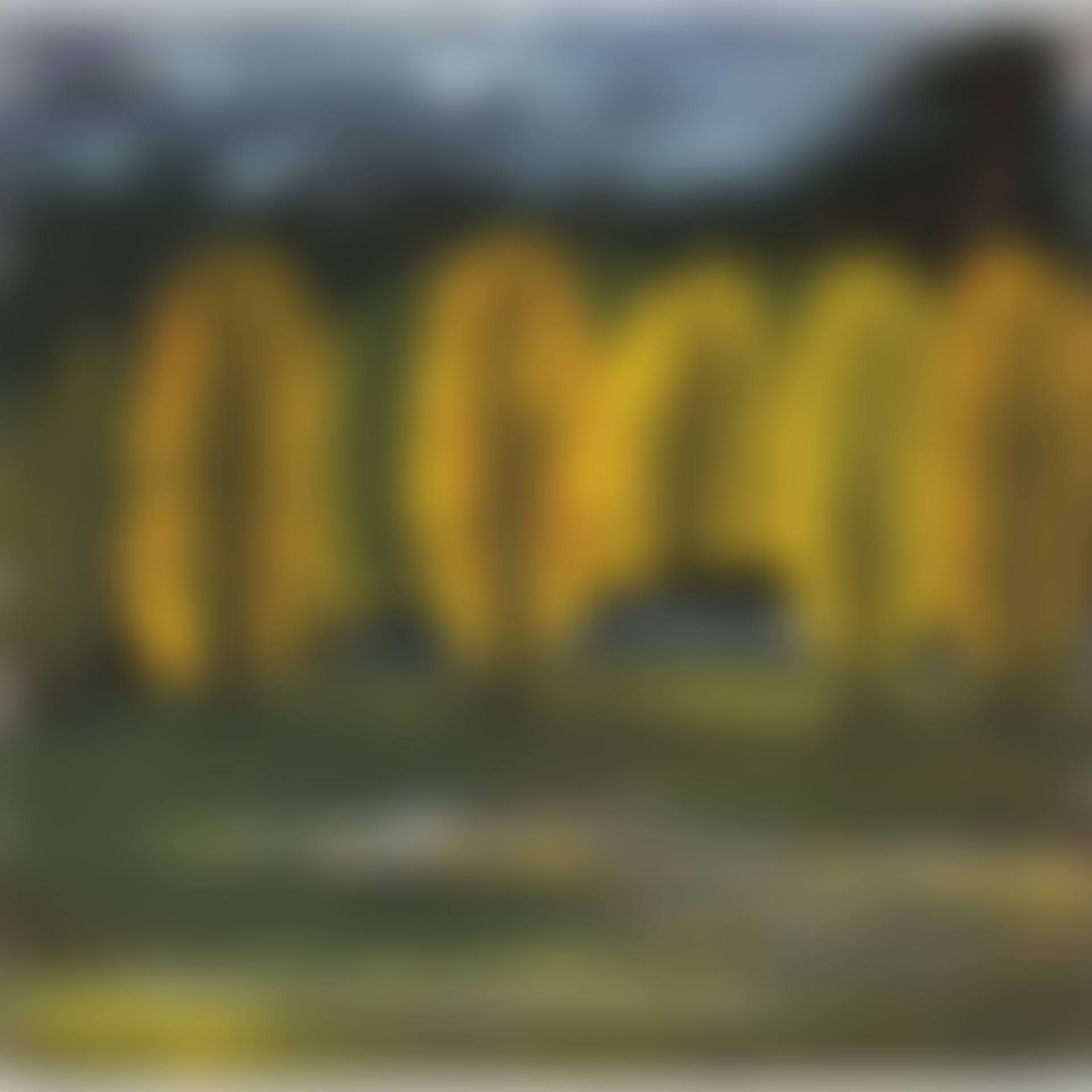 Autumn Forest (preview)