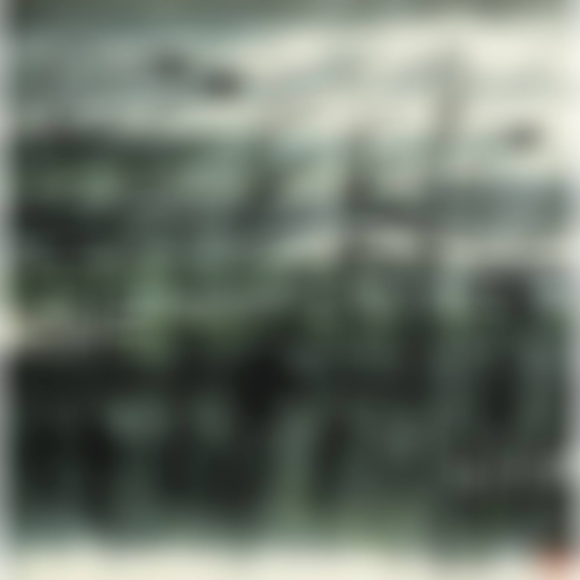 Wild Geese Over The Lake (preview)