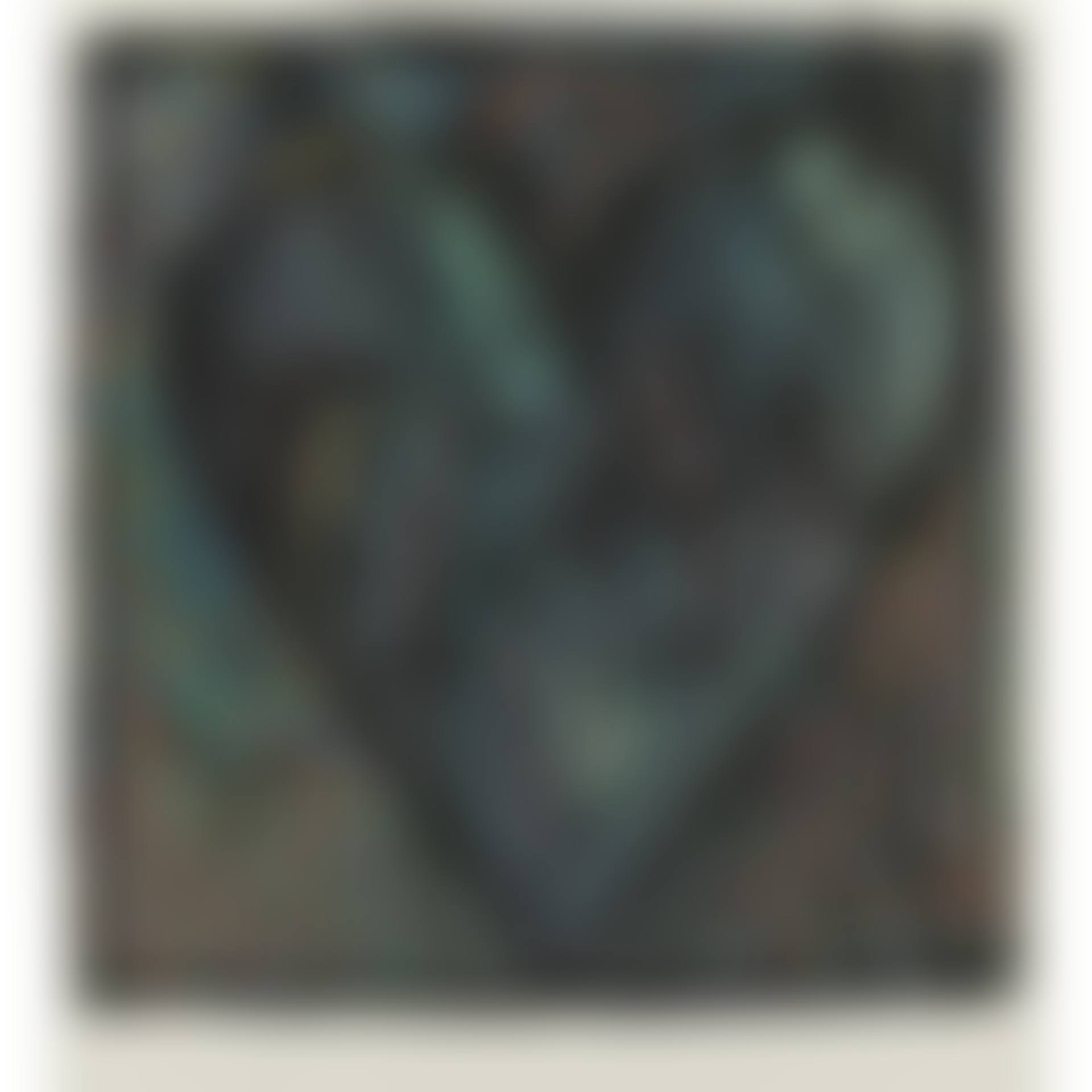 Hand-colored Viennese Hearts VI (C. 34.6) (preview)